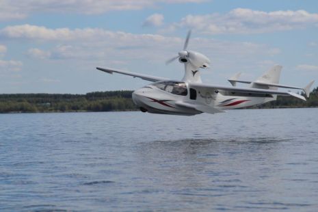 The Flywhale